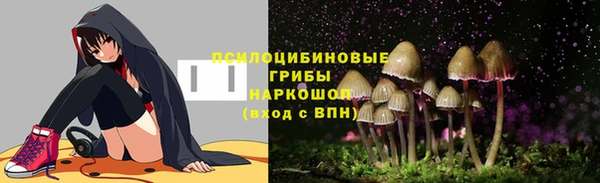стафф Алексеевка