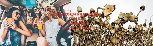 прущий лед Абаза