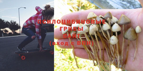а пвп мука Абинск