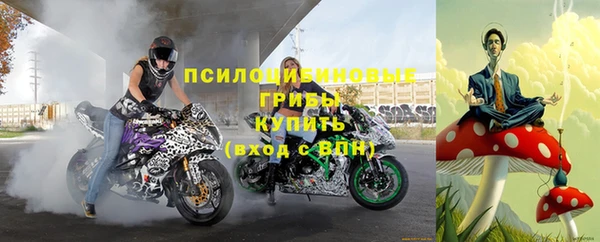 прущий лед Абаза