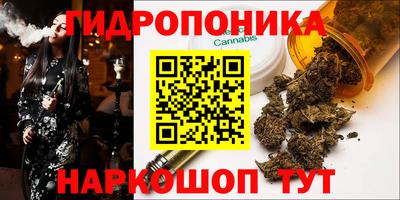 мдма Новодвинск