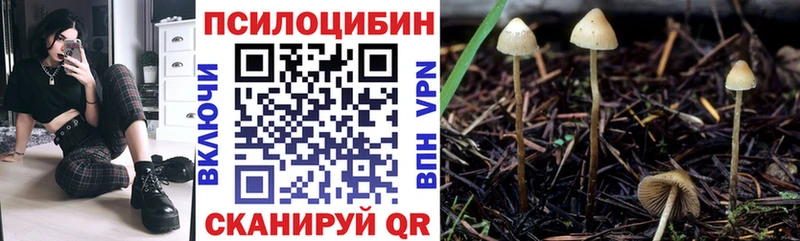 Псилоцибиновые грибы мухоморы Ялуторовск